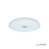Музыкальный потолочный светильник iLedex Music 1706/400 WH
