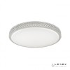 Потолочная люстра iLedex Crust ZD5107-60 Venus-R WH