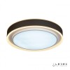 Потолочный светильник iLedex Summery B6233-91W/520 WH