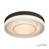 Потолочный светильник iLedex Summery B6317-104W/520 WH