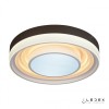 Потолочный светильник iLedex Summery B6317-104W/520 WH