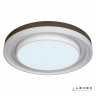 Потолочный светильник iLedex Summery B6317-192W/800 WH