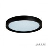 Потолочная люстра iLedex Stardust WL X8839-650R BK