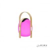 Настольный светильник iLedex Giggle OVS0990-CH WH