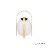 Настольный светильник iLedex Giggle OVS1100-CH WH