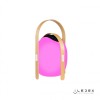 Настольный светильник iLedex Giggle OVS1100-CH WH