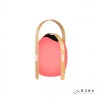 Настольный светильник iLedex Giggle OVS1100-CH WH