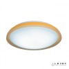 Потолочный светильник iLedex Chameleon 24W ORANGE