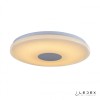 Потолочный светильник iLedex Jupiter 24W RGB Brilliant Entire