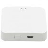 Беспроводной шлюз Zigbee для управления трековыми смарт светильниками iLEDEX TECHNICAL VISION ZGB 1